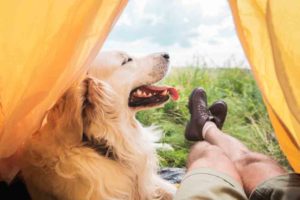 Backpacking Tent for Your Dog